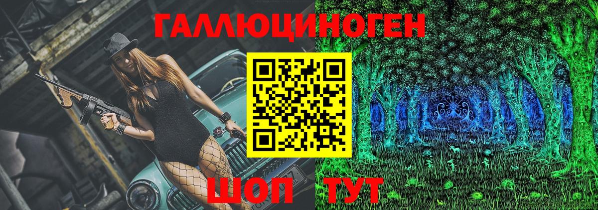 Галлюциногенные грибы Psilocybe Нарткала