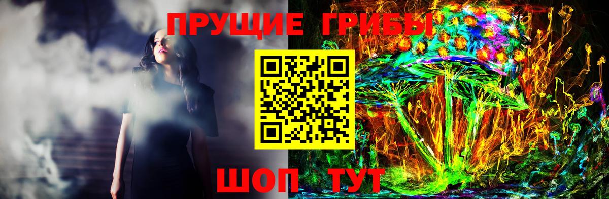 Галлюциногенные грибы Cubensis  Вход с VPN  Нарткала 